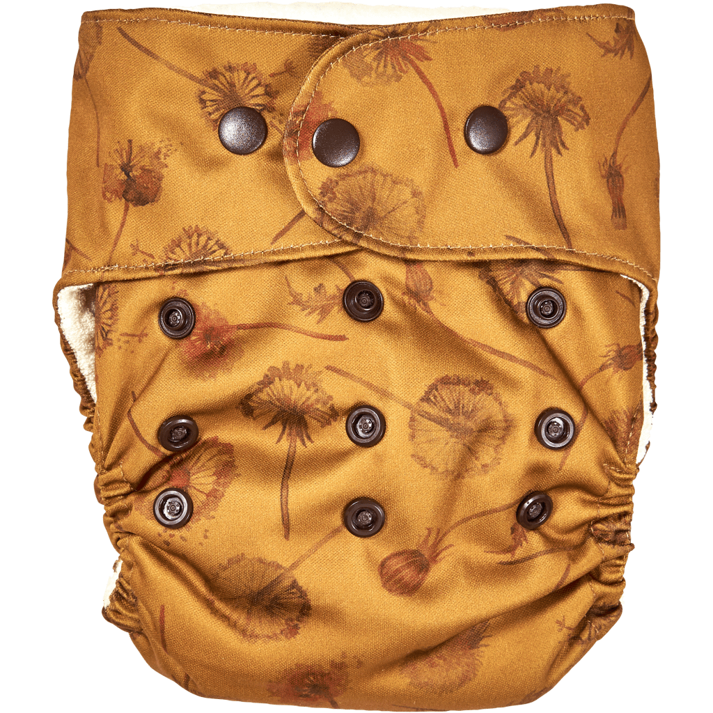 Natural SnapIn Mushrooms AIO Cloth Diaper In Organic Cotton Elskbar