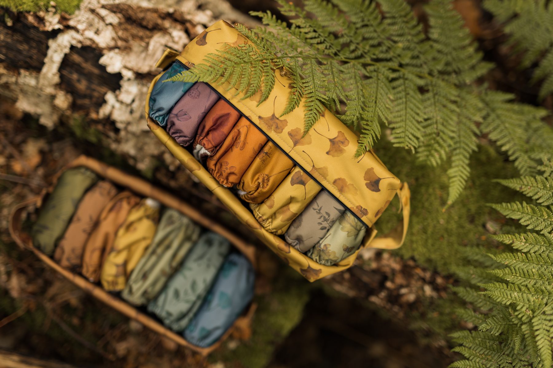 Ginkgo pod all colors